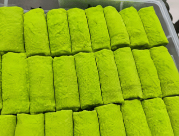 ilustrasi risol matcha