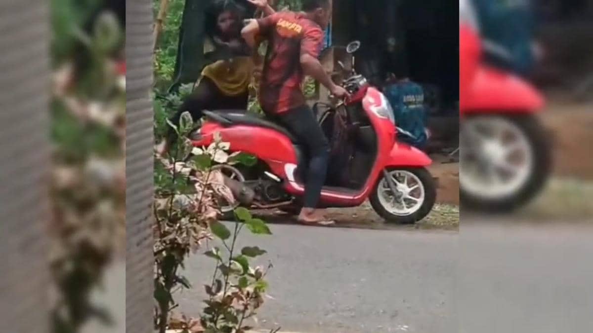 WhatsApp Image 2026-03-02 at 10.50.02.jpeg