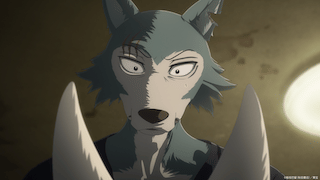 BEASTARS FINAL SEASON Part2