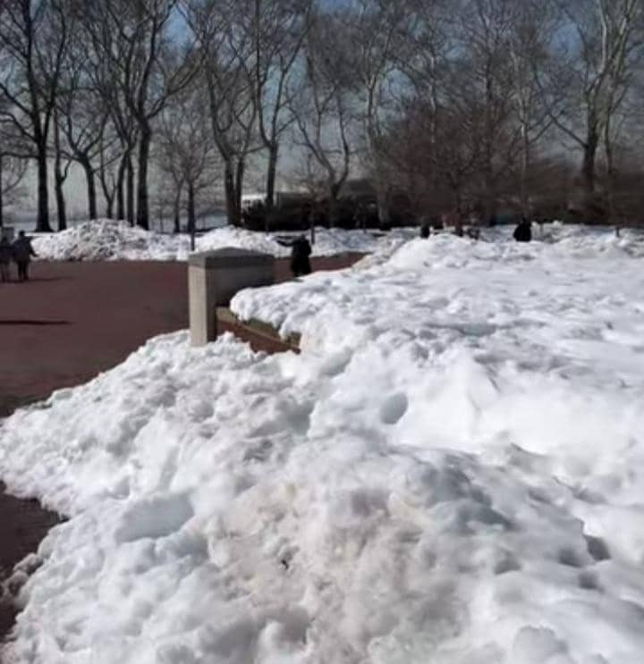 Femmy Permatasari dan suami liburan di Liberty Island