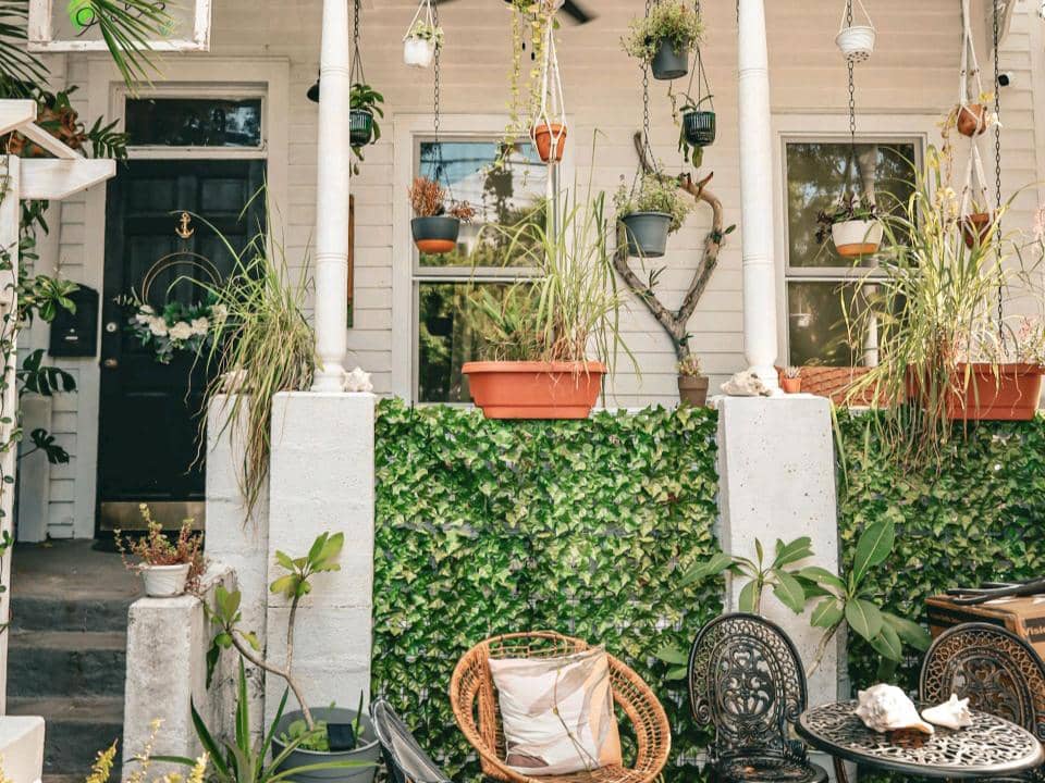 5 Inspirasi Tanaman Hias Gantung di Teras Rumah, Berikan Nuansa Sejuk