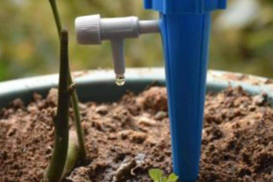 Ilustrasi sistem penyiraman otomatis atau irigasi tetes 