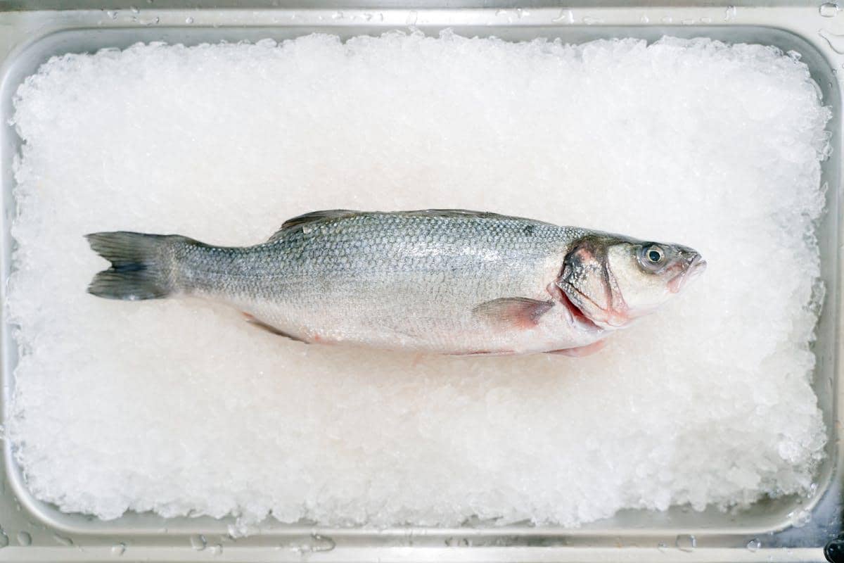 7 Cara Menyimpan Ikan Mentah di Kulkas Tanpa Bau Amis