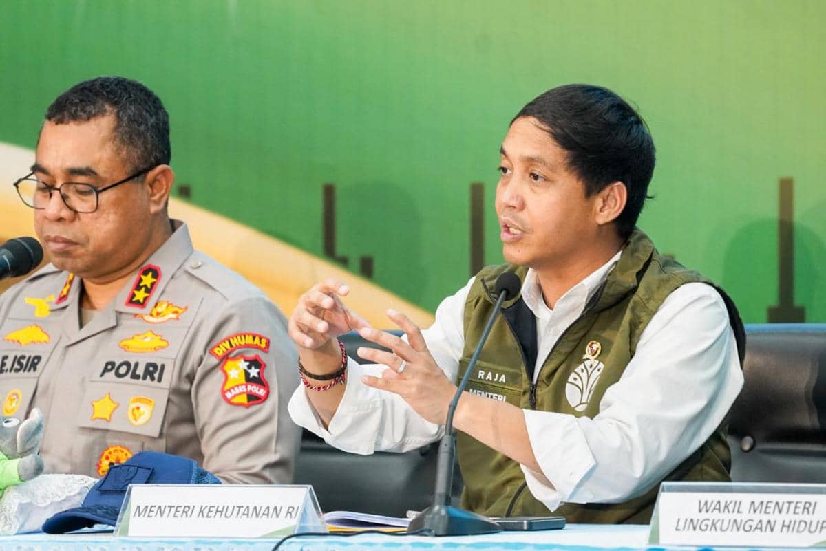 15 Pemburu Gajah Sumatra Ditangkap, Menhut: Praktik Brutal dan Ilegal