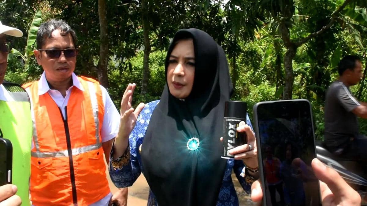 Bupati Pekalongan Fadia Arafiq Terjaring OTT KPK, Ini Profil dan Hartanya
