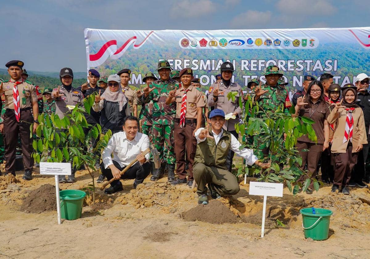 Kemenhut Resmi Mulai Reforestasi Tesso Nilo, Target 66 Ribu Hektare