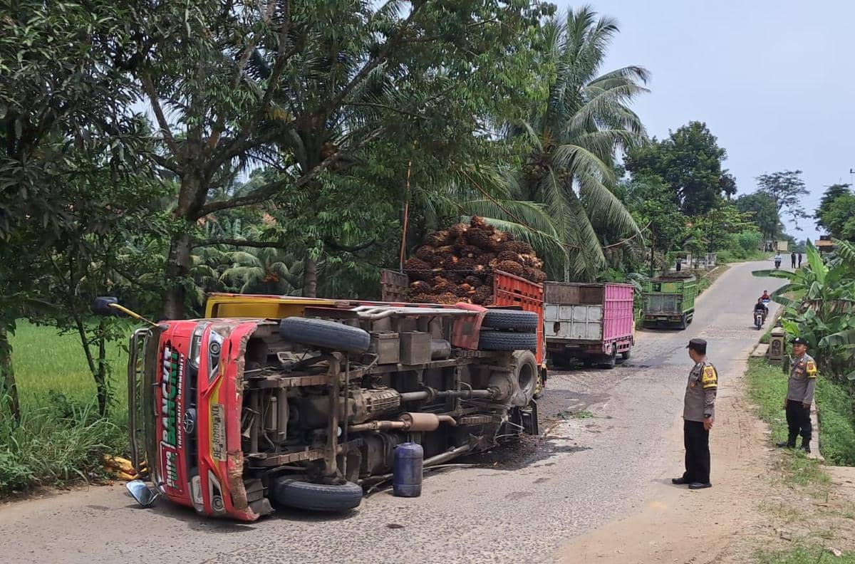 Dipicu Patah As, Truk Muatan Sawit Terguling di Jalan Raya Pringsewu