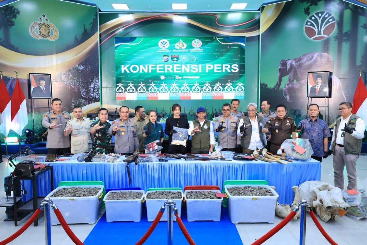 Polda Riau Tangkap 15 Tersangka Jaringan Perburuan Gajah Sumatra