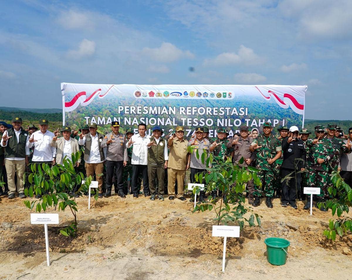 Kemenhut Resmi Mulai Reforestasi Tesso Nilo, Target 66 Ribu Hektare