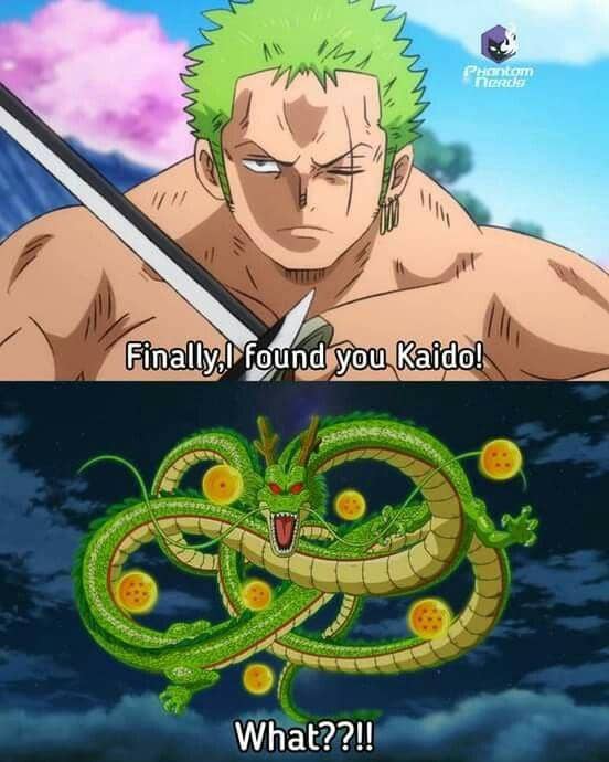 meme Zoro nyasar ke anime syonen