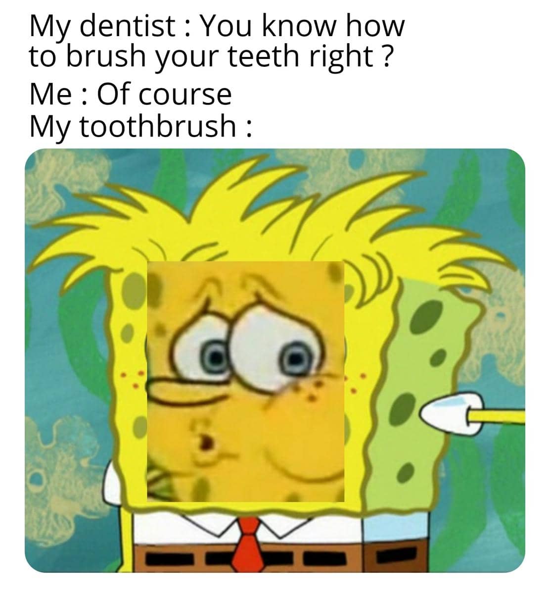 meme kartun tentang menyikat gigi
