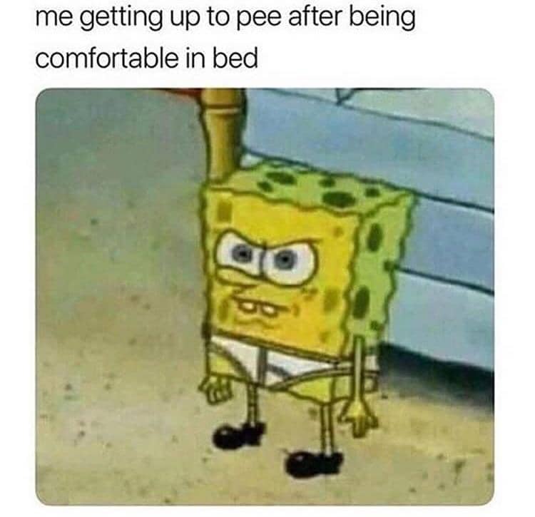 meme SpongeBob tentang buang air kecil