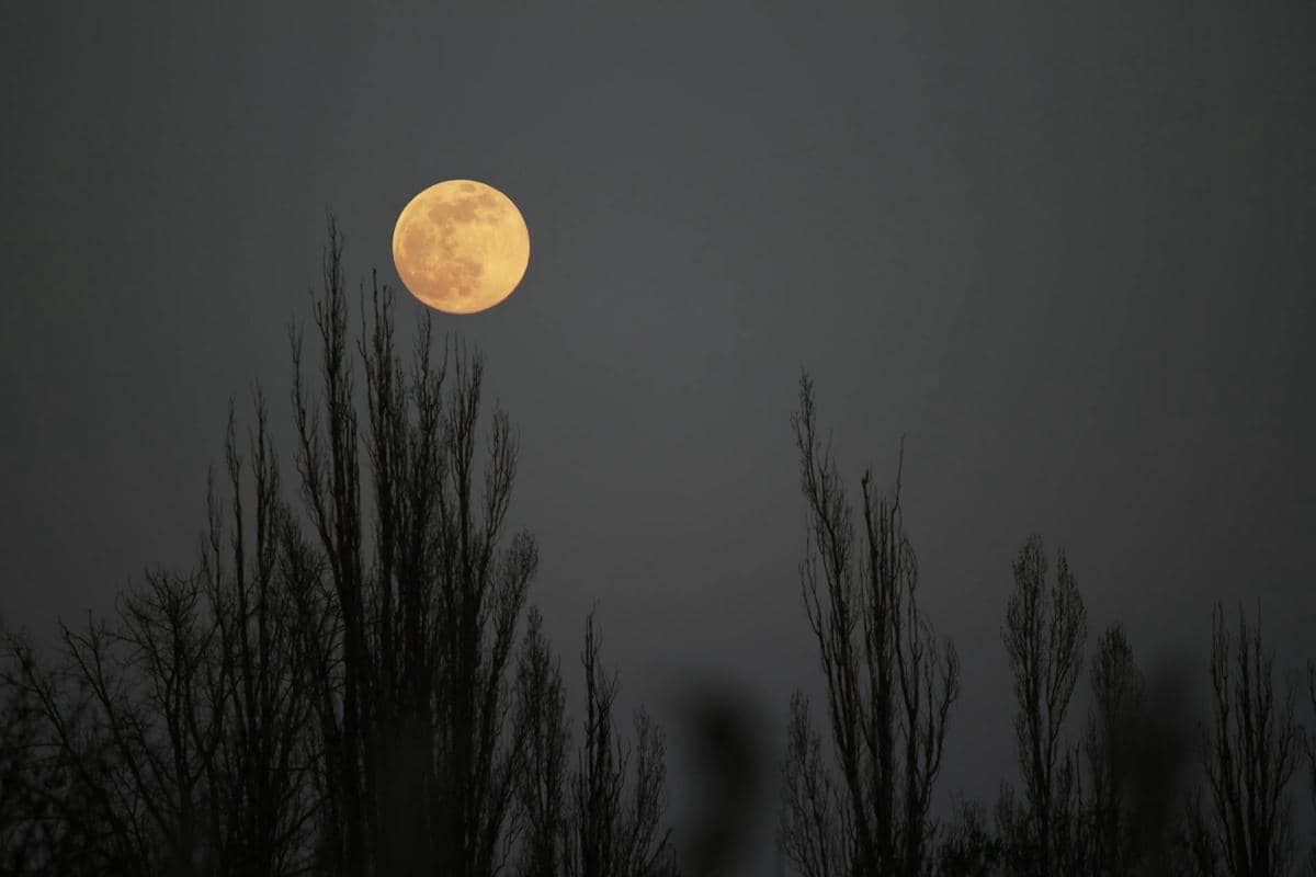 ilustrasi worm moon sebagai penanda Paskah