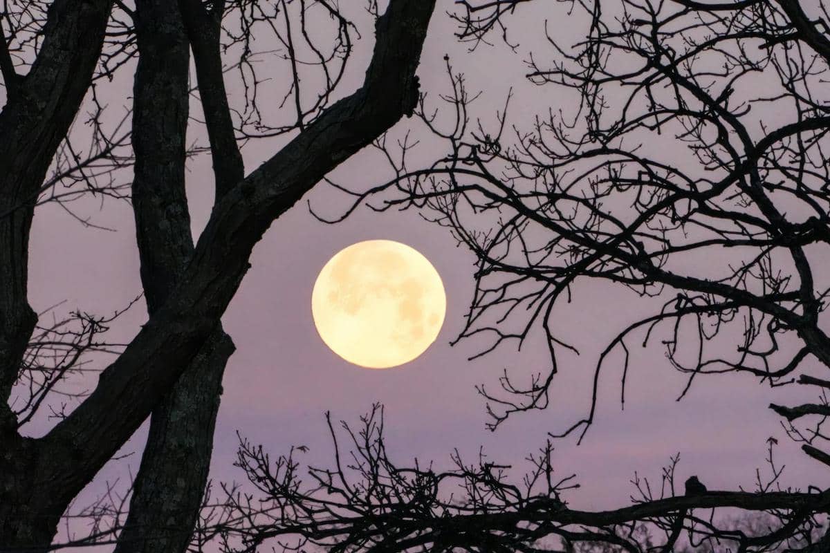 ilustrasi worm moon datang dekat ekuinoks