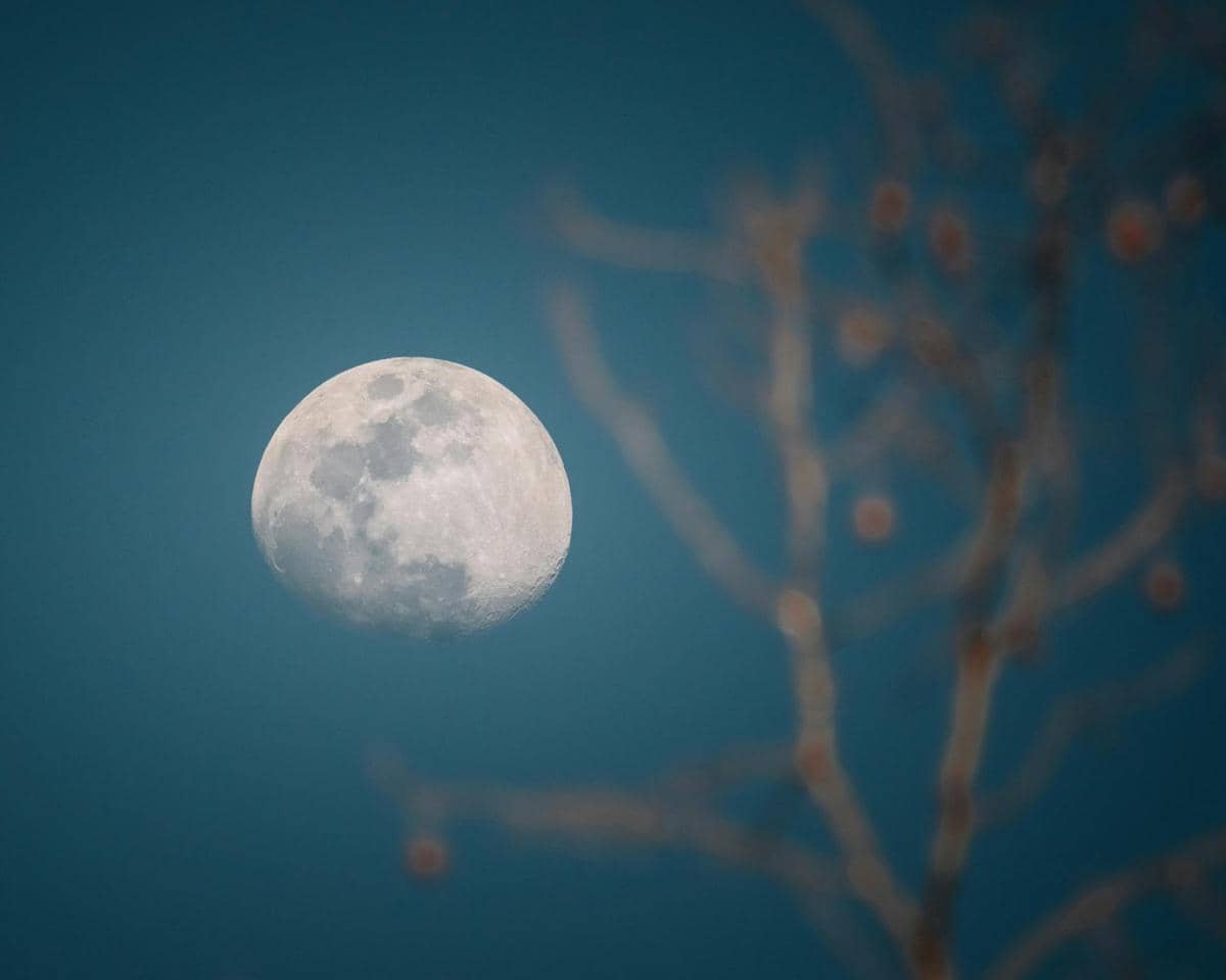 ilustrasi worm moon yang terlihat lebih besar