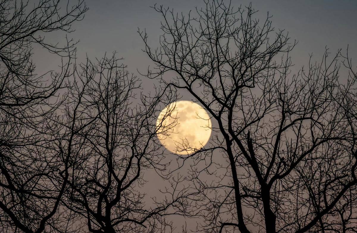 5 Fakta Unik Warm Moon yang Diam-diam Punya Kuasa pada Kalender Dunia