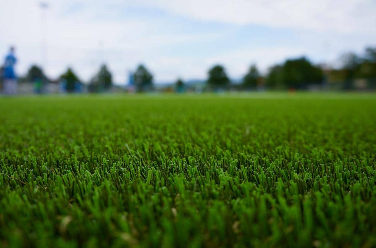 ilustrasi rumput sih sintetis