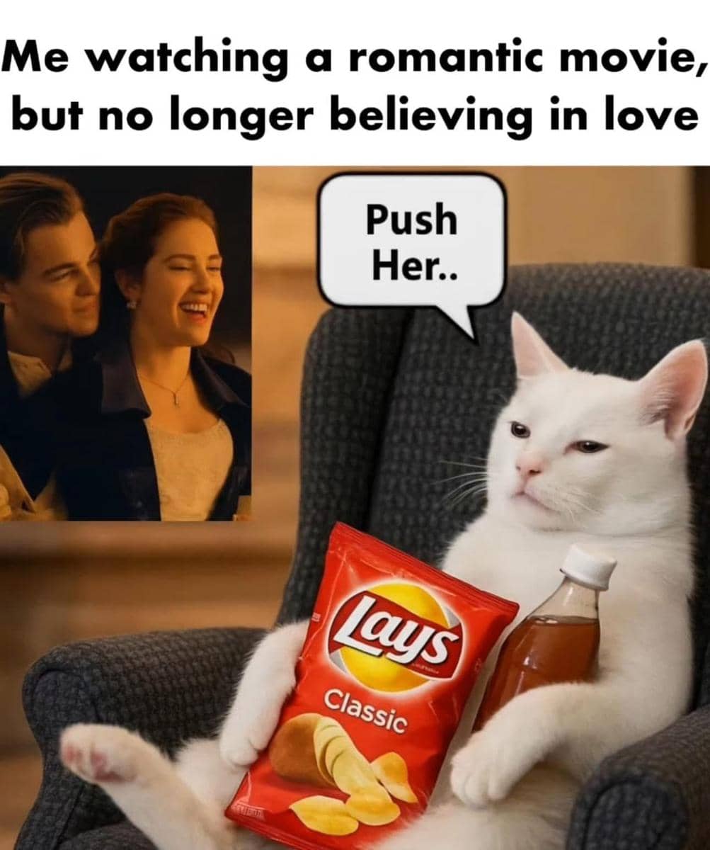 meme kucing tentang nonton film