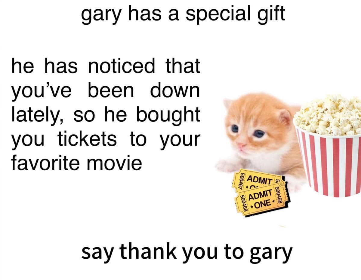 meme kucing tentang nonton film