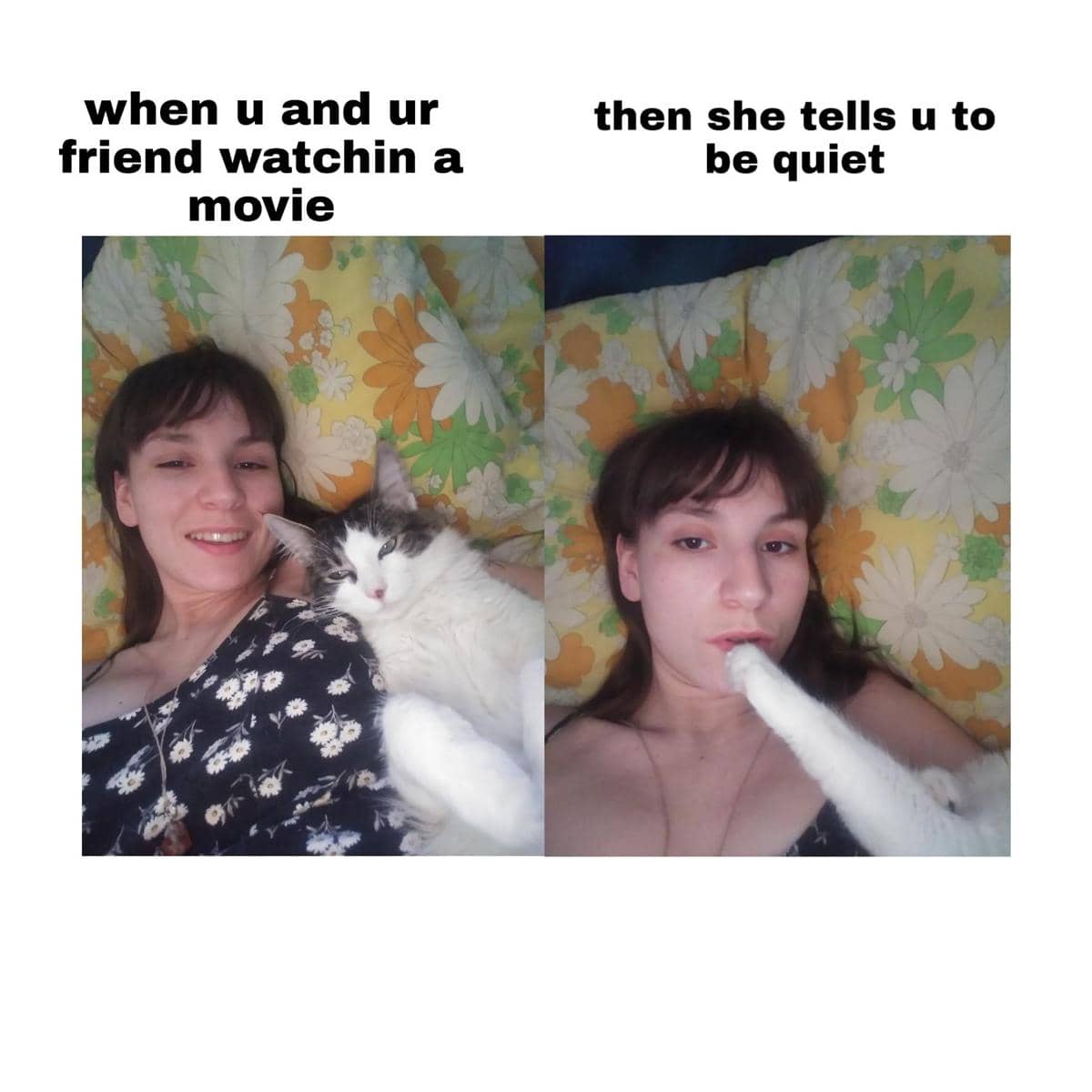 meme kucing tentang nonton film