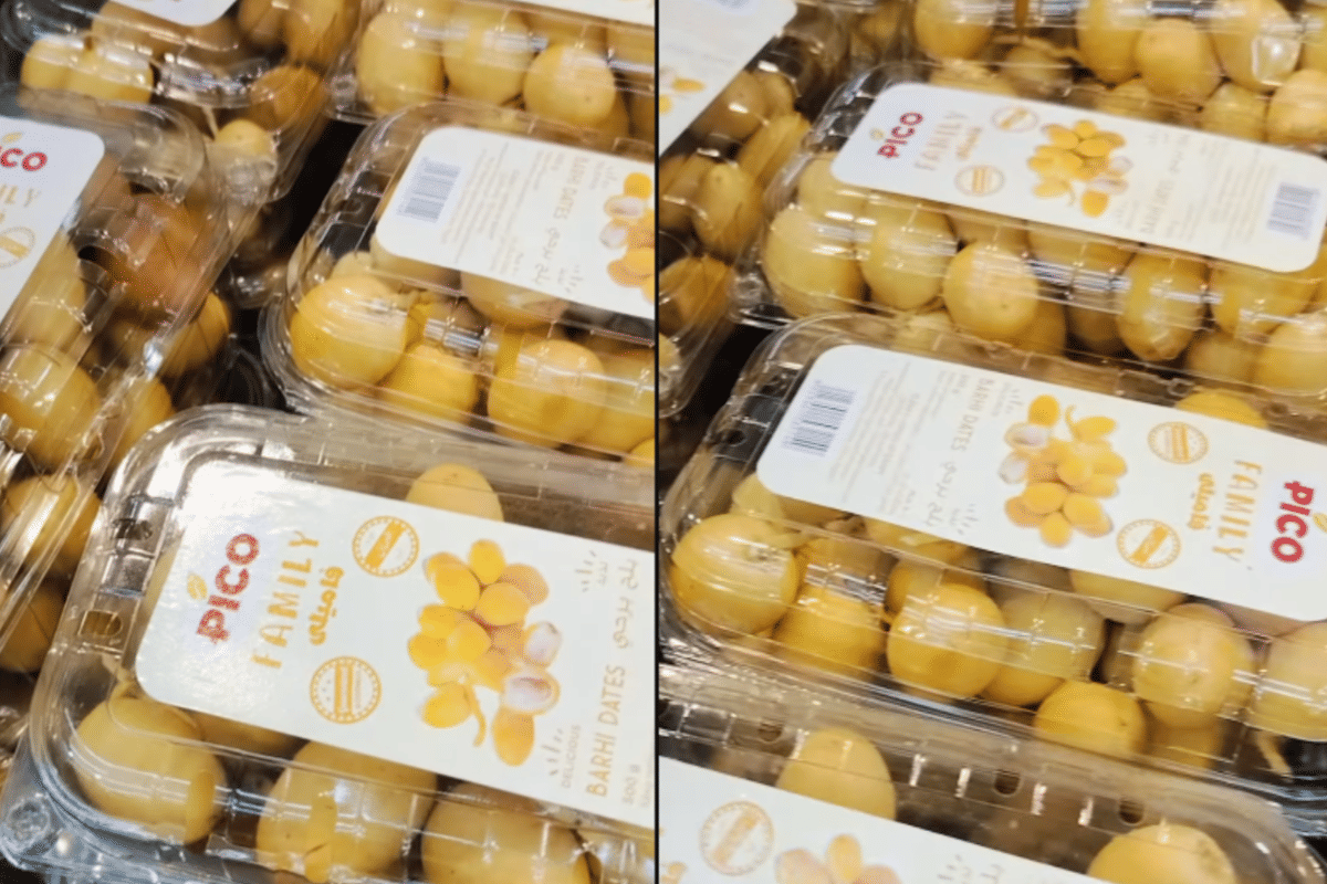 ilustrasi kurma Barhi 