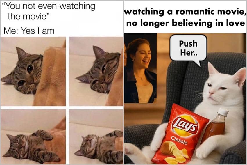 8 Meme Kucing tentang Nonton Film, Malah Ketiduran