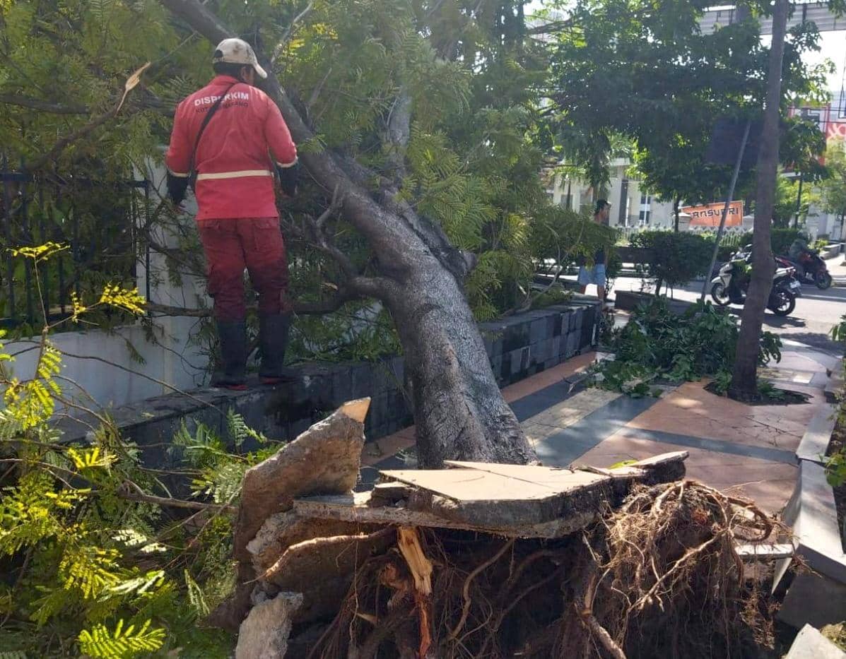 Pohon tumbang, baliho ambruk, bencana semarang