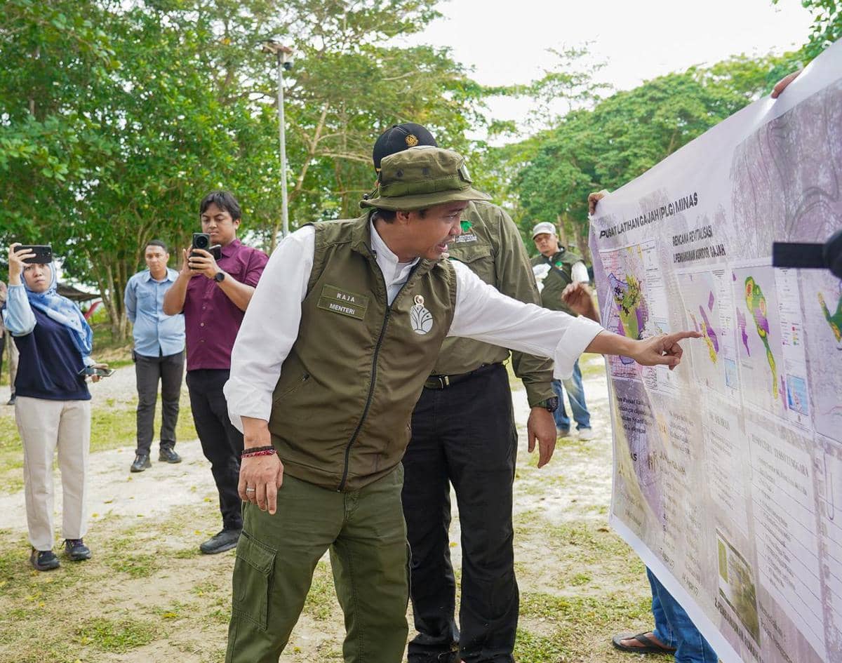 Menhut Pastikan Koridor Gajah di Riau Segera Tersambung