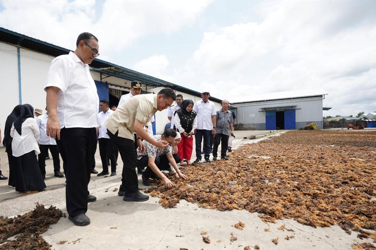 Indonesia ekspor 75 ton rumput laut jenis Eucheuma cottonii senilai Rp1,7 miliar ke China. 