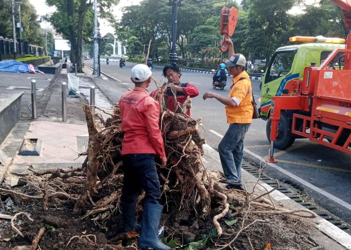 Pohon tumbang, baliho ambruk, bencana semarang
