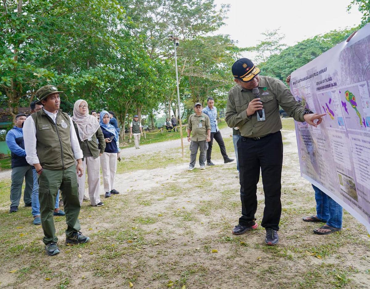 Menhut Pastikan Koridor Gajah di Riau Segera Tersambung