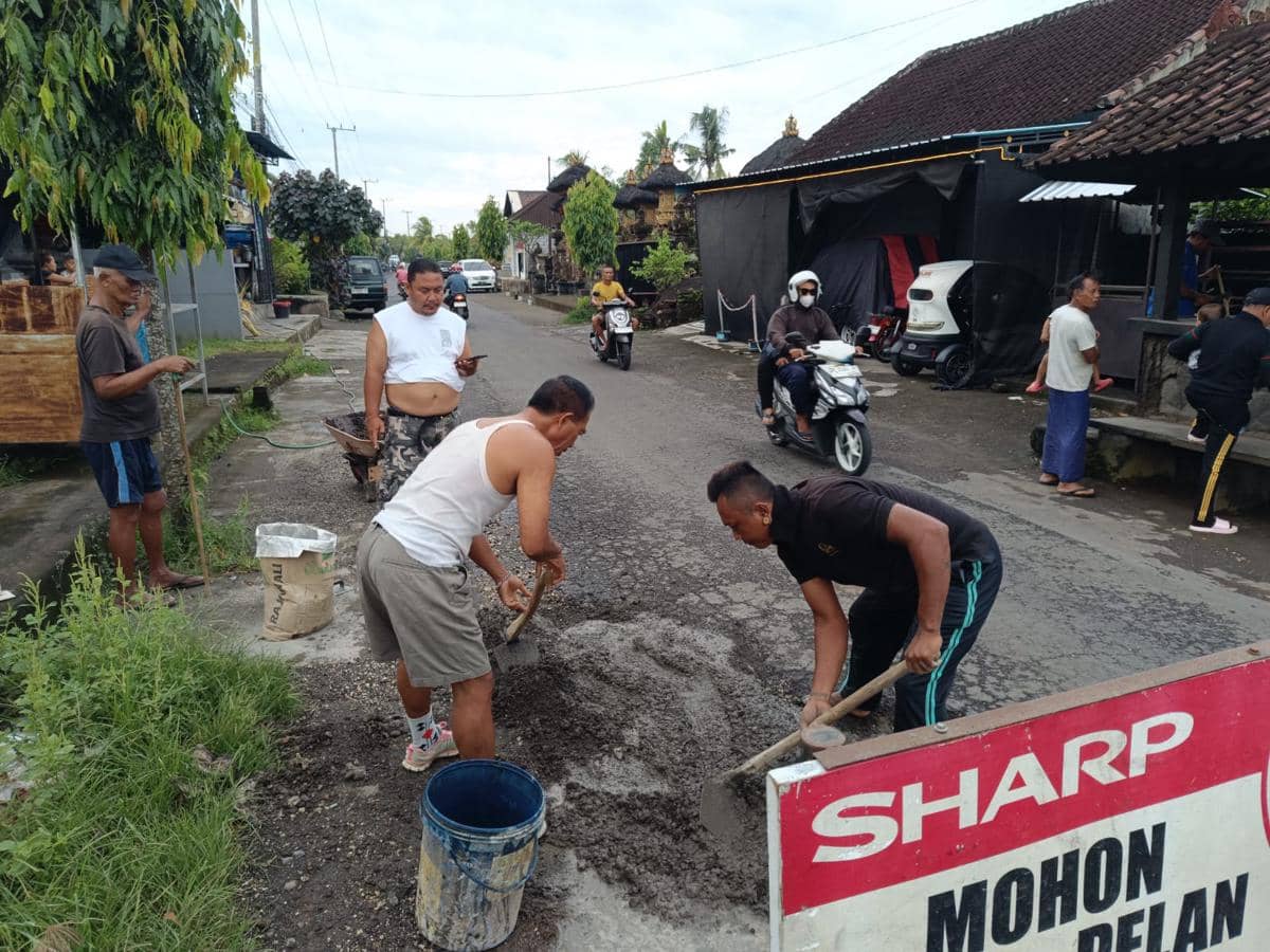 Belum Digubris Pemda, Warga Tabanan Secara Swadaya Menyemen Jalan Raya