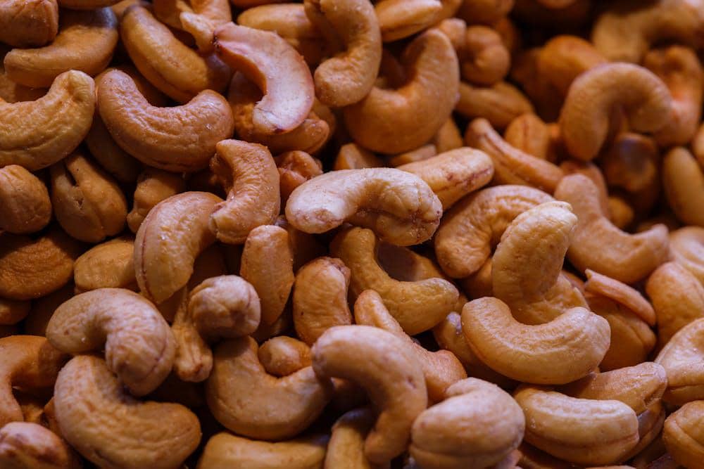 ilustrasi kacang mete