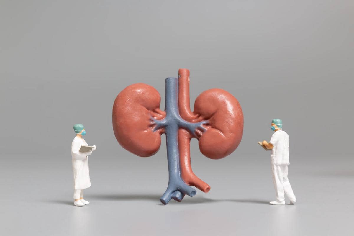 World Kidney Day 2026, Pentingnya Deteksi Dini Penyakit Ginjal