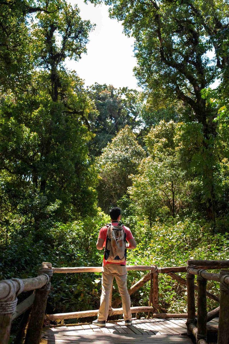 7 Wisata Dekat Jalur Mudik Pasuruan - Malang, Ada yang Gratis!