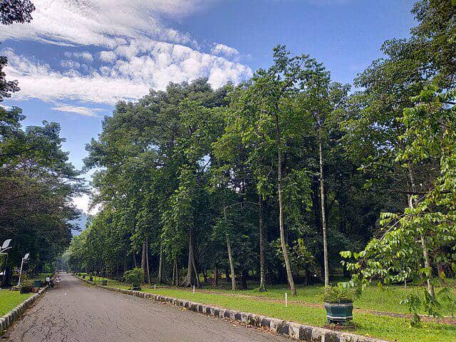 Foto Tempat Wisata Kebun Raya Purwodadi