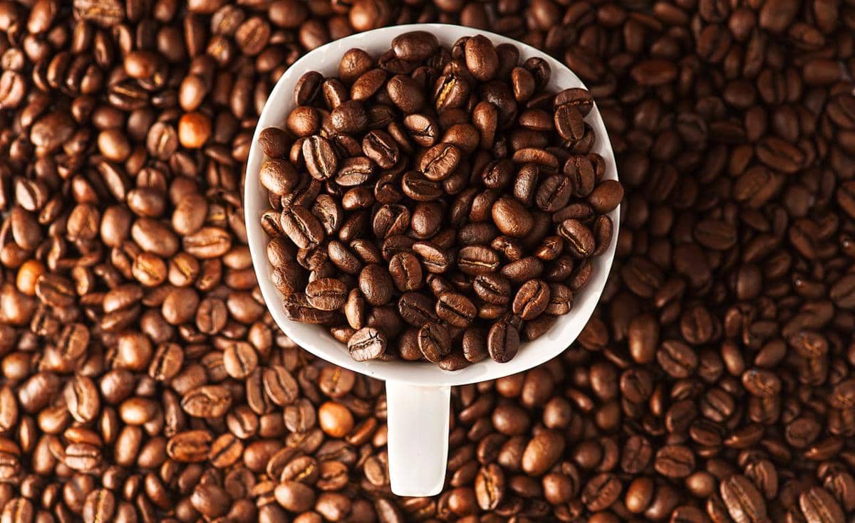 ilustrasi biji kopi 