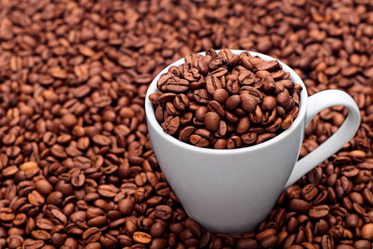 ilustrasi biji kopi 