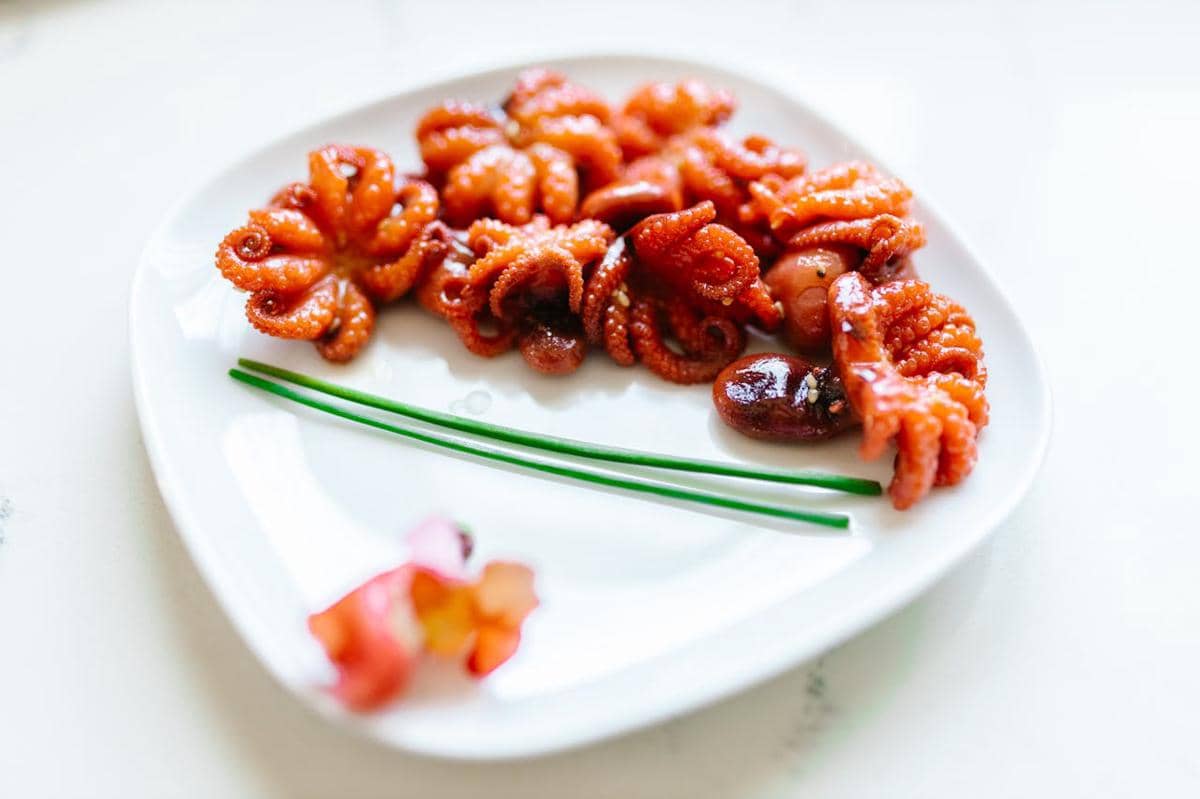 ilustrasi sajian jjukkumi bokkeum