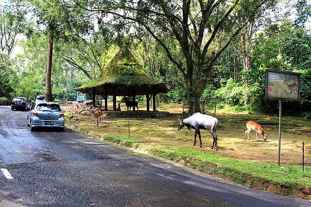 Ilustrasi Tempat Wisata 