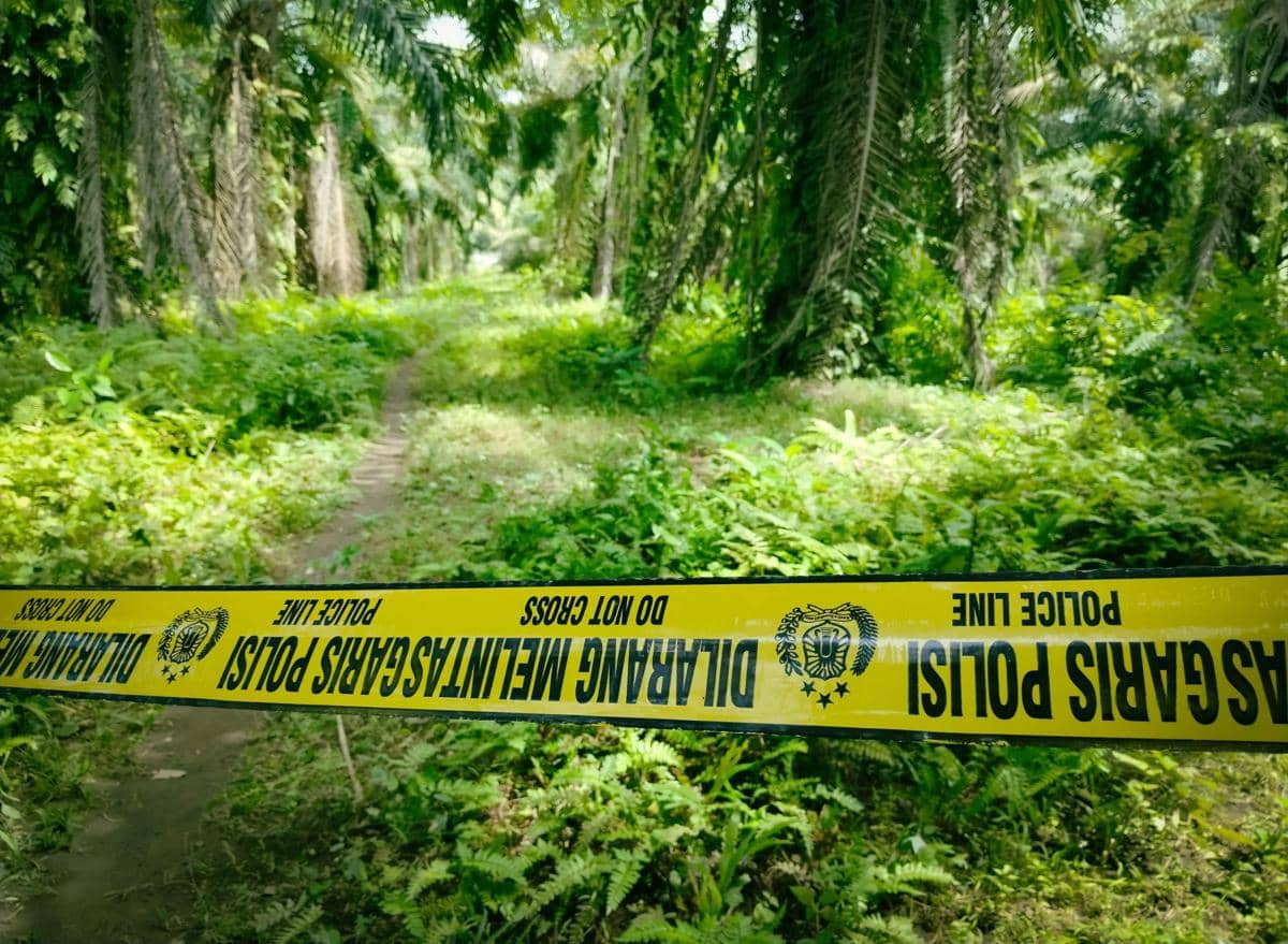 4 Pelaku Penganiaya Eks TNI yang Curi Sawit hingga Tewas Ditangkap 
