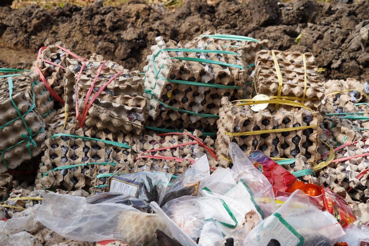 Sejumlah daging babi ilegal dimusnahkan di Kalbar. 