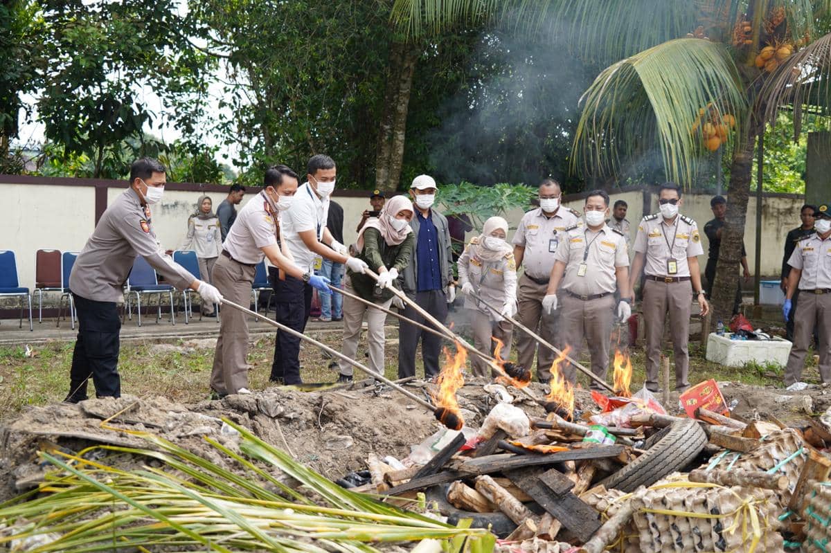 Karantina Kalbar musnahkan daging babi yang berpotensi jadi media pembawa hama.