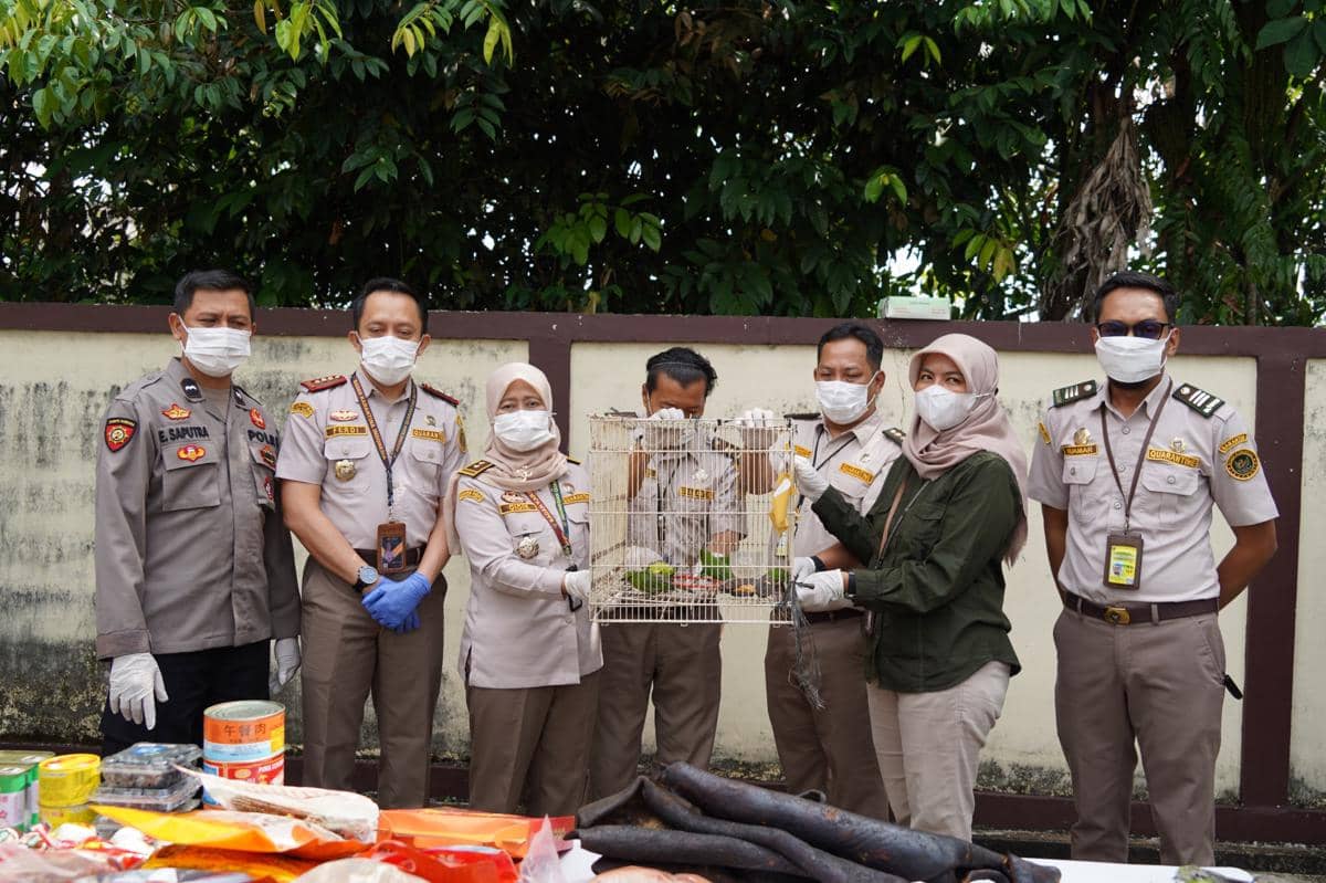 Karantina Kalbar juga amankan burung yang dilindungi. 