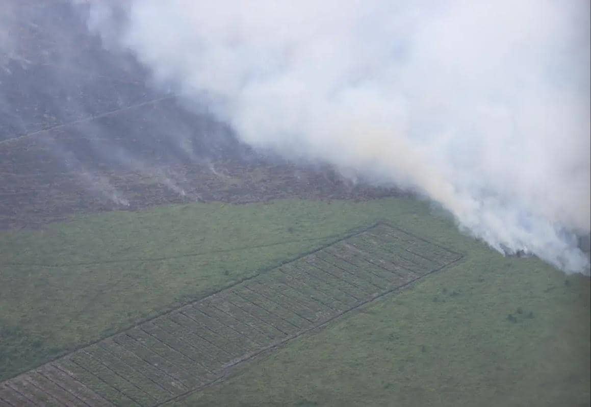 Kondisi kebakaran hutan dan lahan yang terjadi di wilayah Kabupaten Rokan Hilir, Provinsi Riau