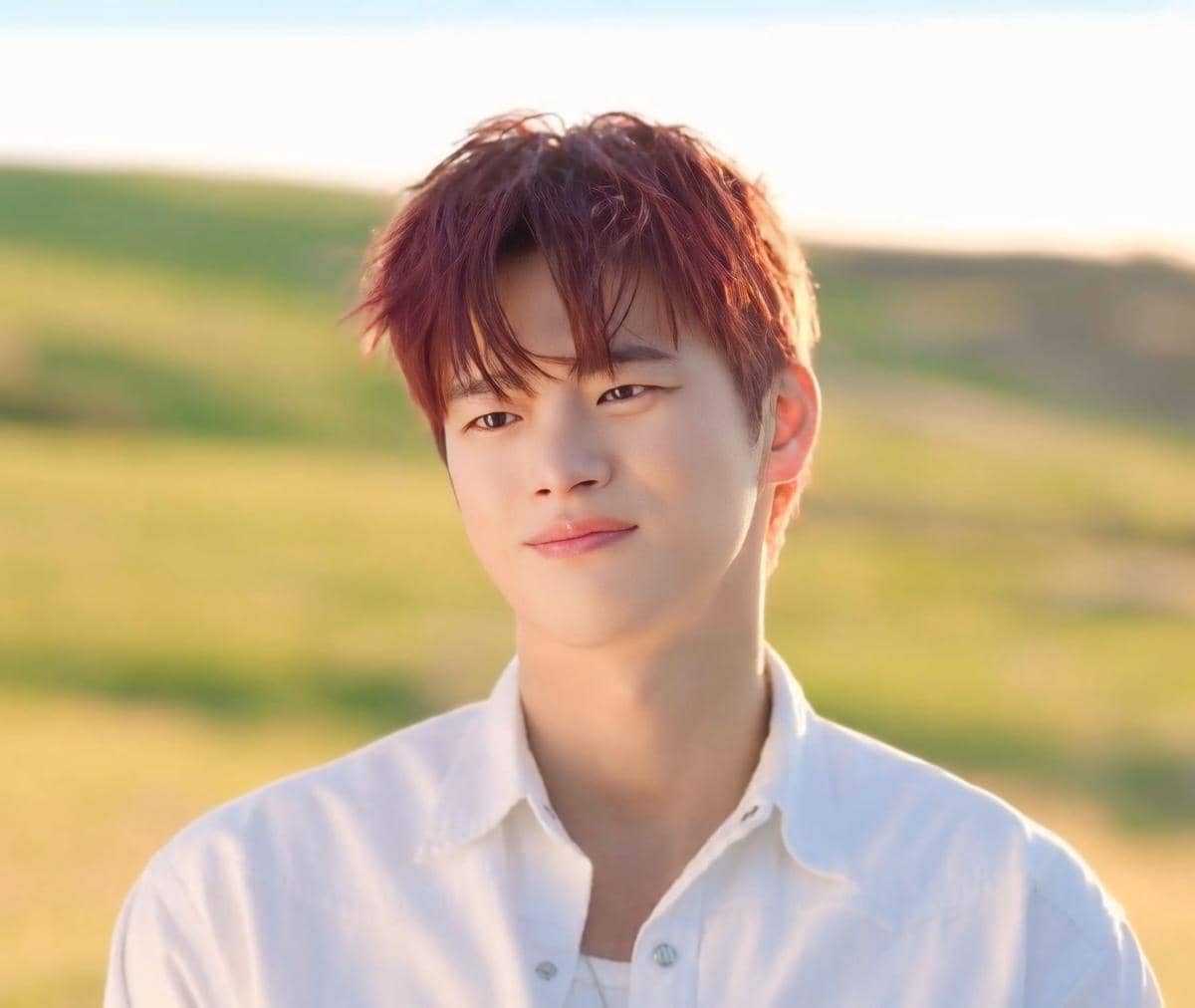 Seo In Guk di Boyfriend on Demand