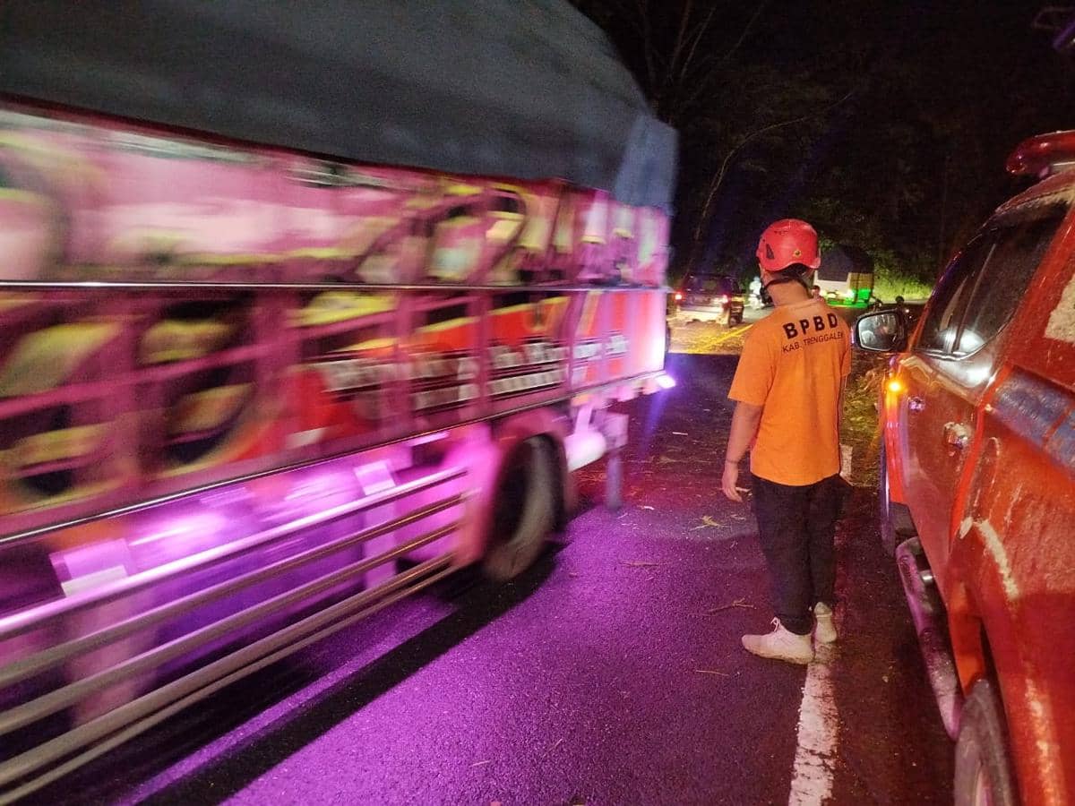 WhatsApp Image 2026-03-08 at 01.27.05.jpeg