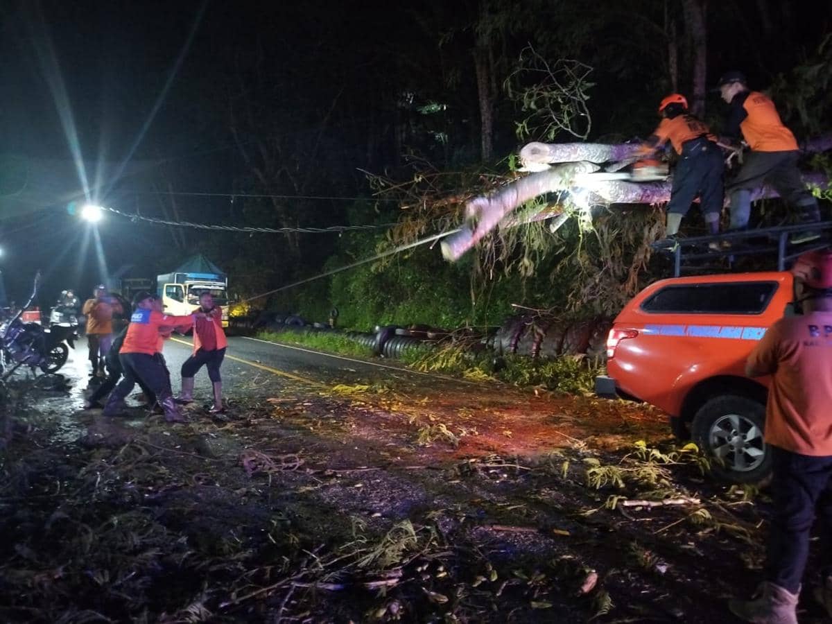 Pohon Tumbang Tutup Jalur Nasional Trenggalek–Ponorogo, Listrik Padam