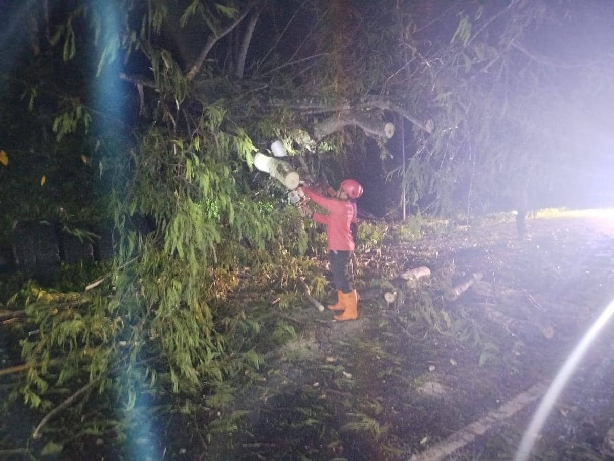 WhatsApp Image 2026-03-08 at 01.27.04 (1).jpeg