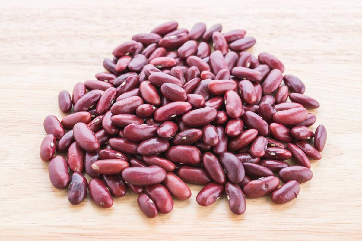 ilustrasi kacang merah